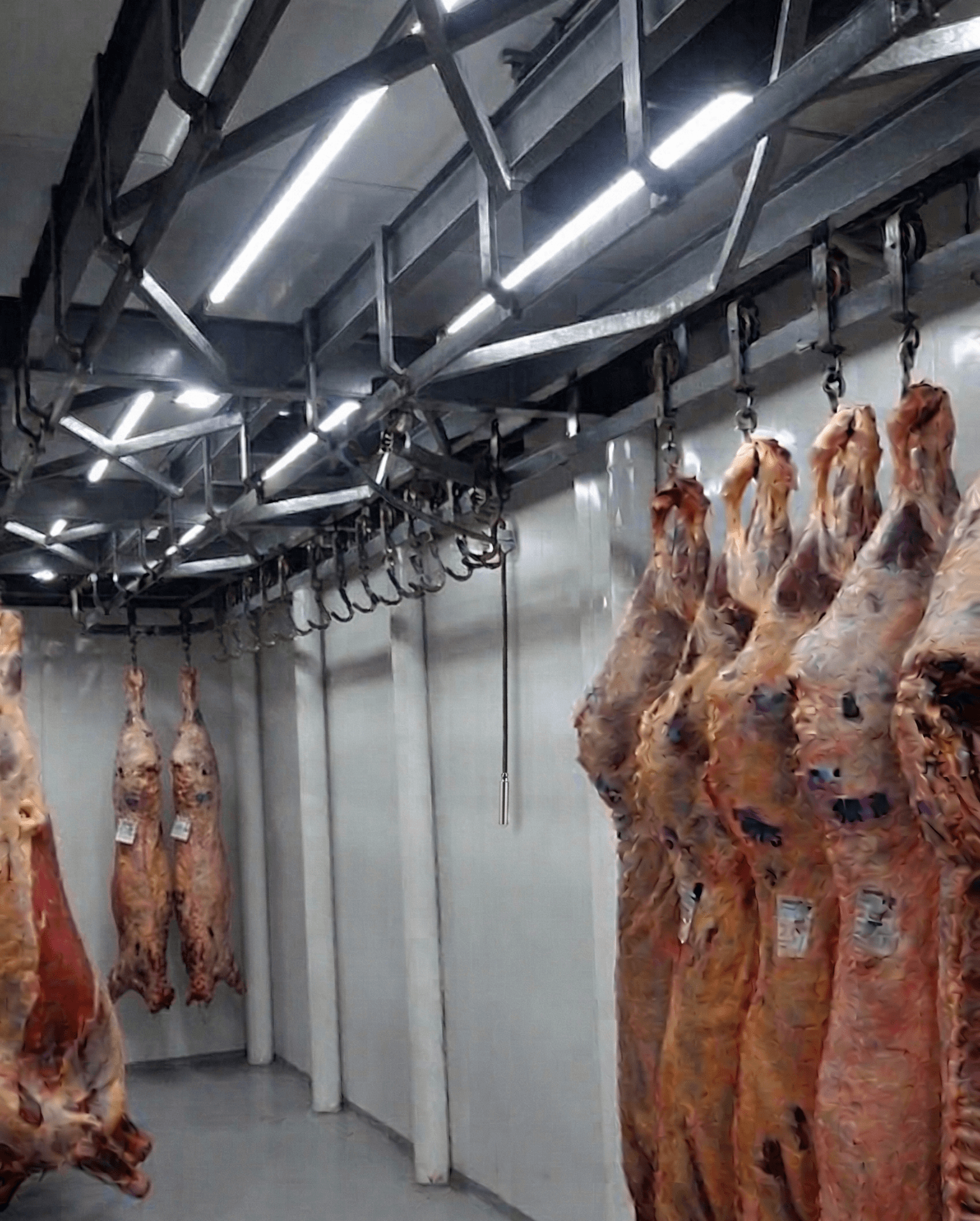 Cámara frigorífica con monitoreo de temperatura IoTempo